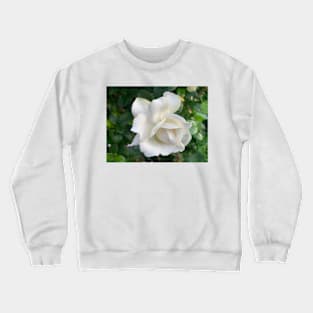 Gardenia flower Crewneck Sweatshirt